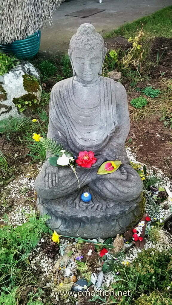 Stage-Plouhinec-mars2015-30_redimensionner