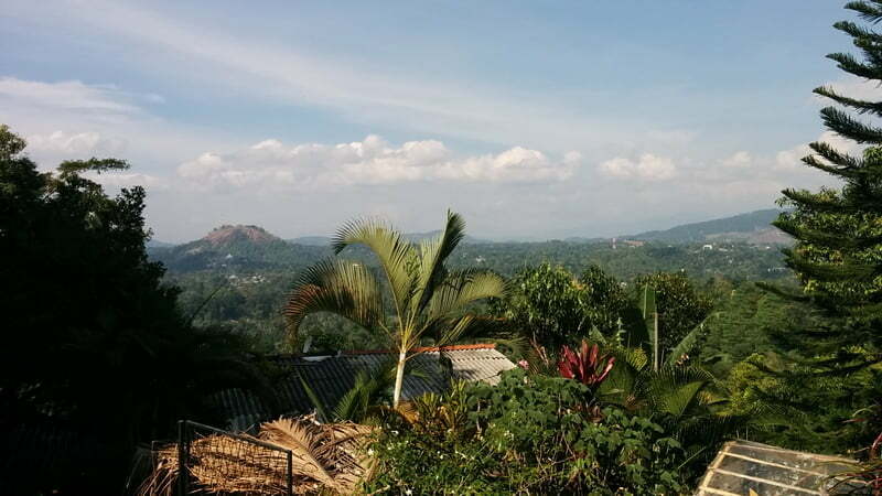 IMG_20160204_144022_redimensionner