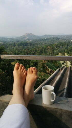 PHOTO_20160207_153750_redimensionner