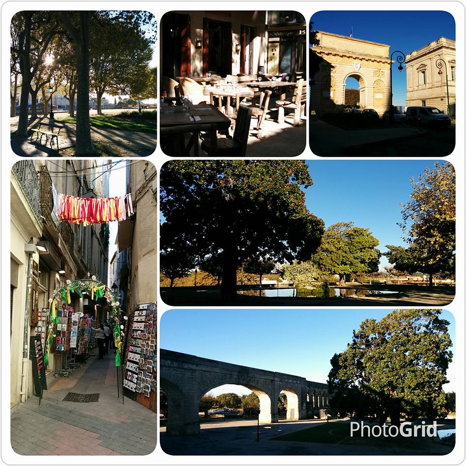 14581463_1158334447589632_7509521186562090045_n