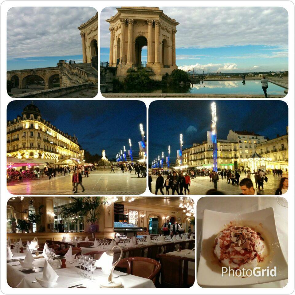 14671226_925545780922581_6329498099304269_n