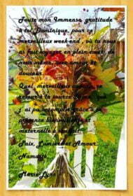 marie-lyne-deserts2014-407x600