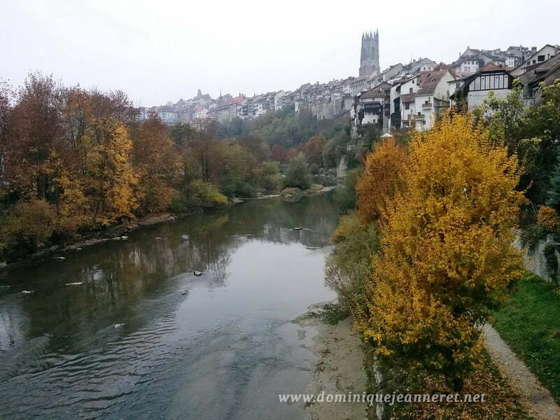 photo_20161031_162251_redimensionner