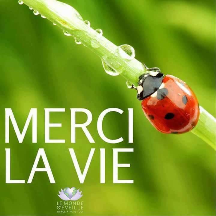 Quand un ange passe dans mes sites web