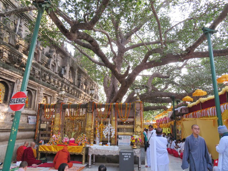 Quand l&rsquo;éclipse me ramène sur mon chemin