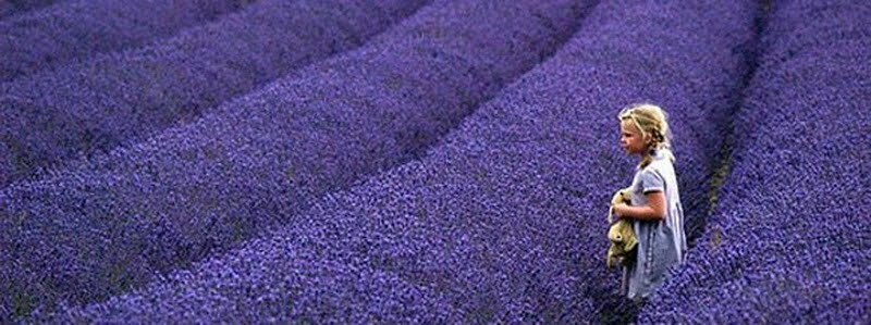 Vivre en société tout en restant Soi