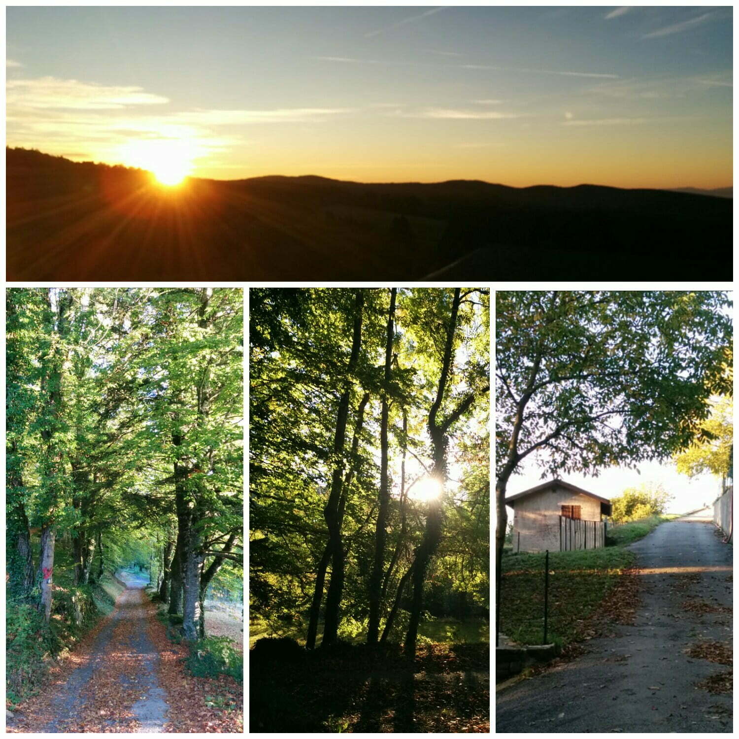 Une petite gorgée qui explique bien des choses