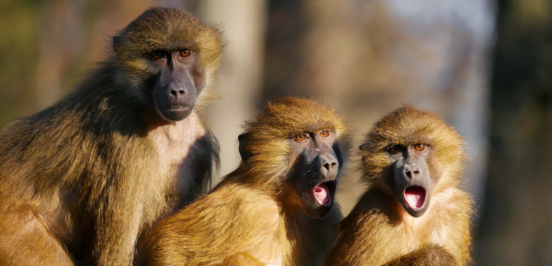 Oser regarder la réalité du monde avec bienveillance et sans jugement
