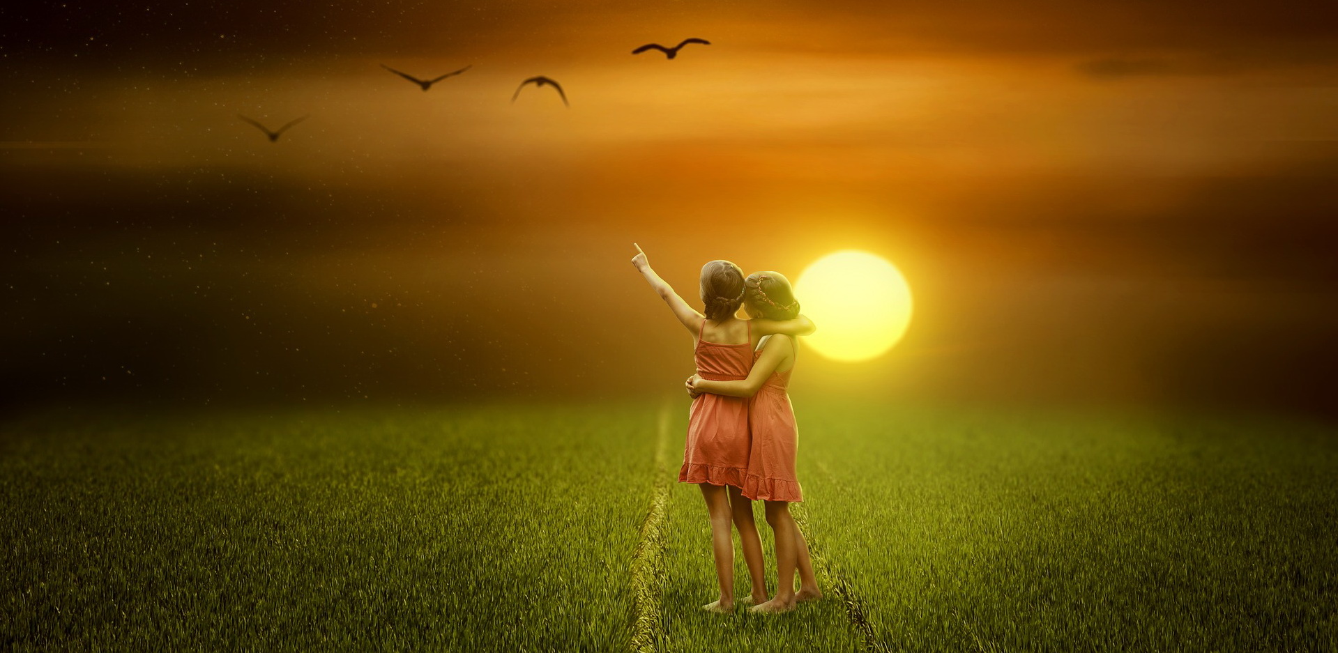 Atelier virtuel : À la rencontre de son jumeau perdu