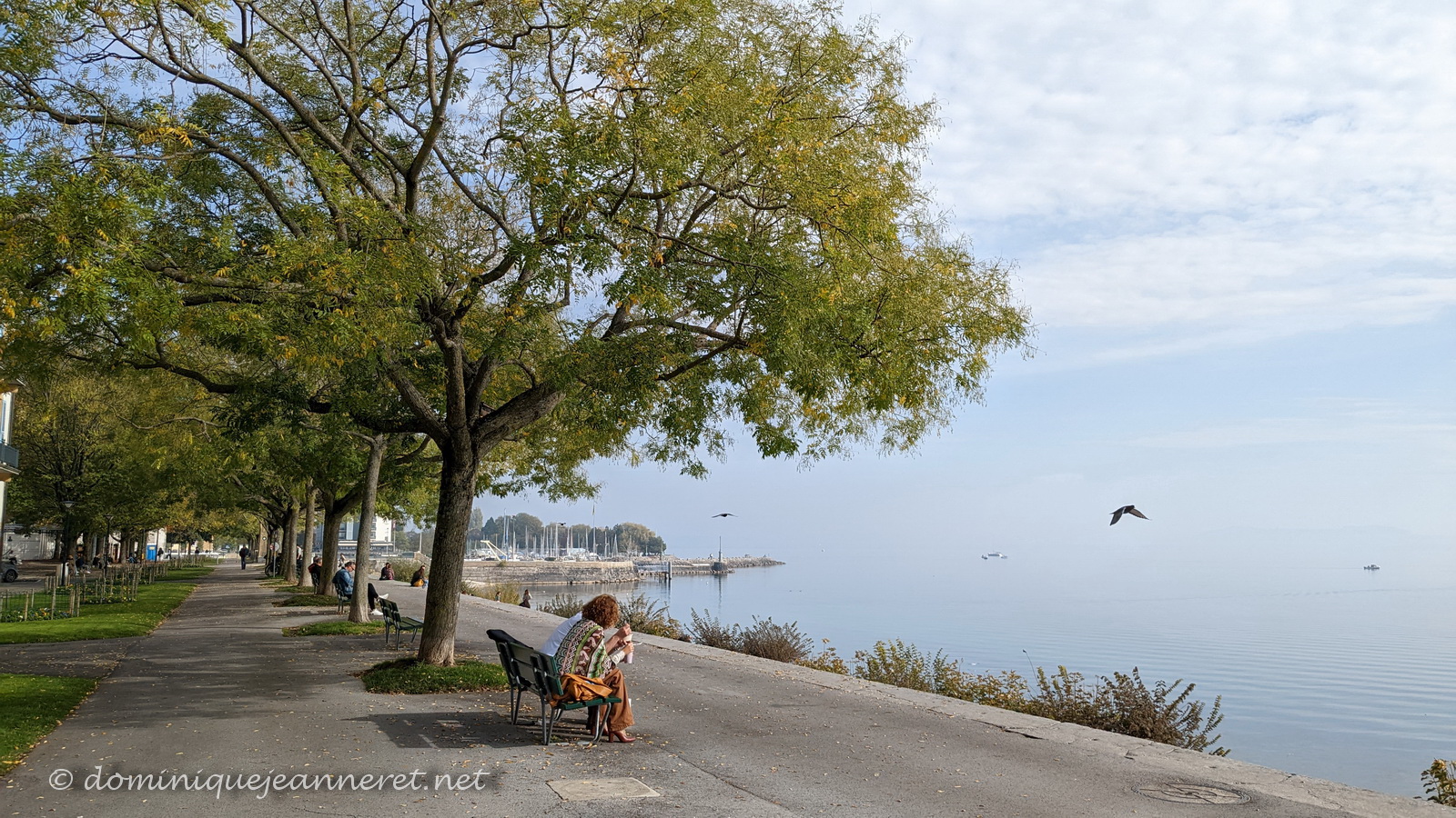 Les vacances sont finies et elles ont été bien remplies