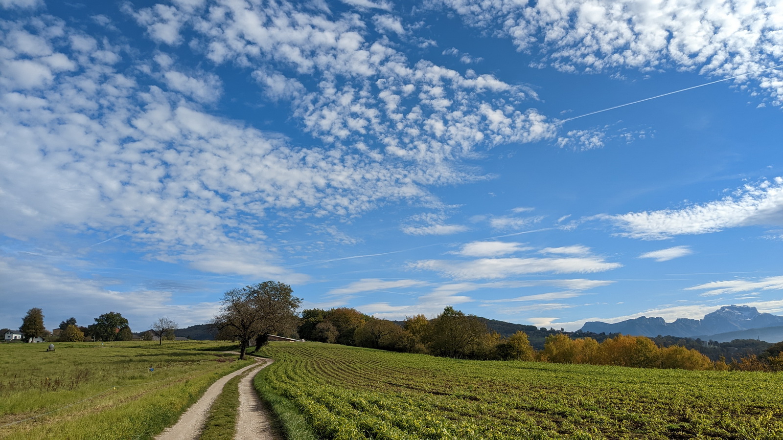 Il n&rsquo;y a pas de petites économies