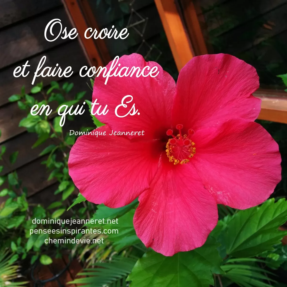 Ose croire et faire confiance en qui tu Es