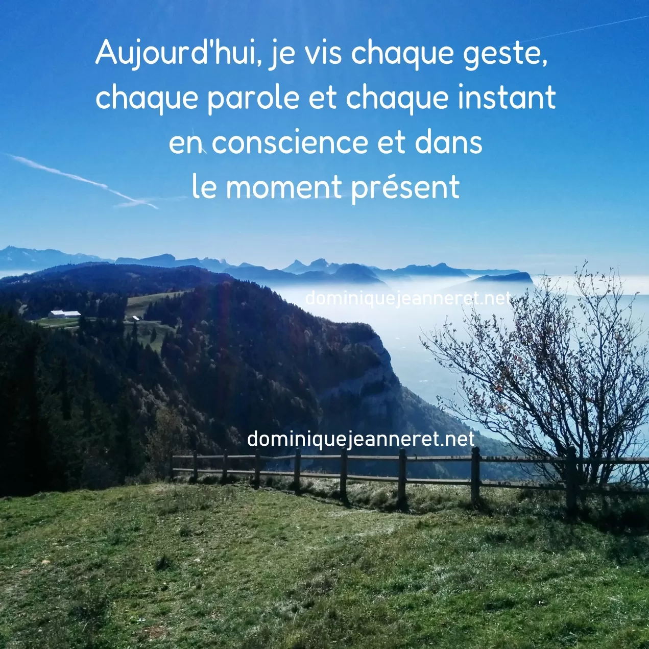 Vivre et agir dans le moment présent en pleine conscience – (Émission de radio en replay)