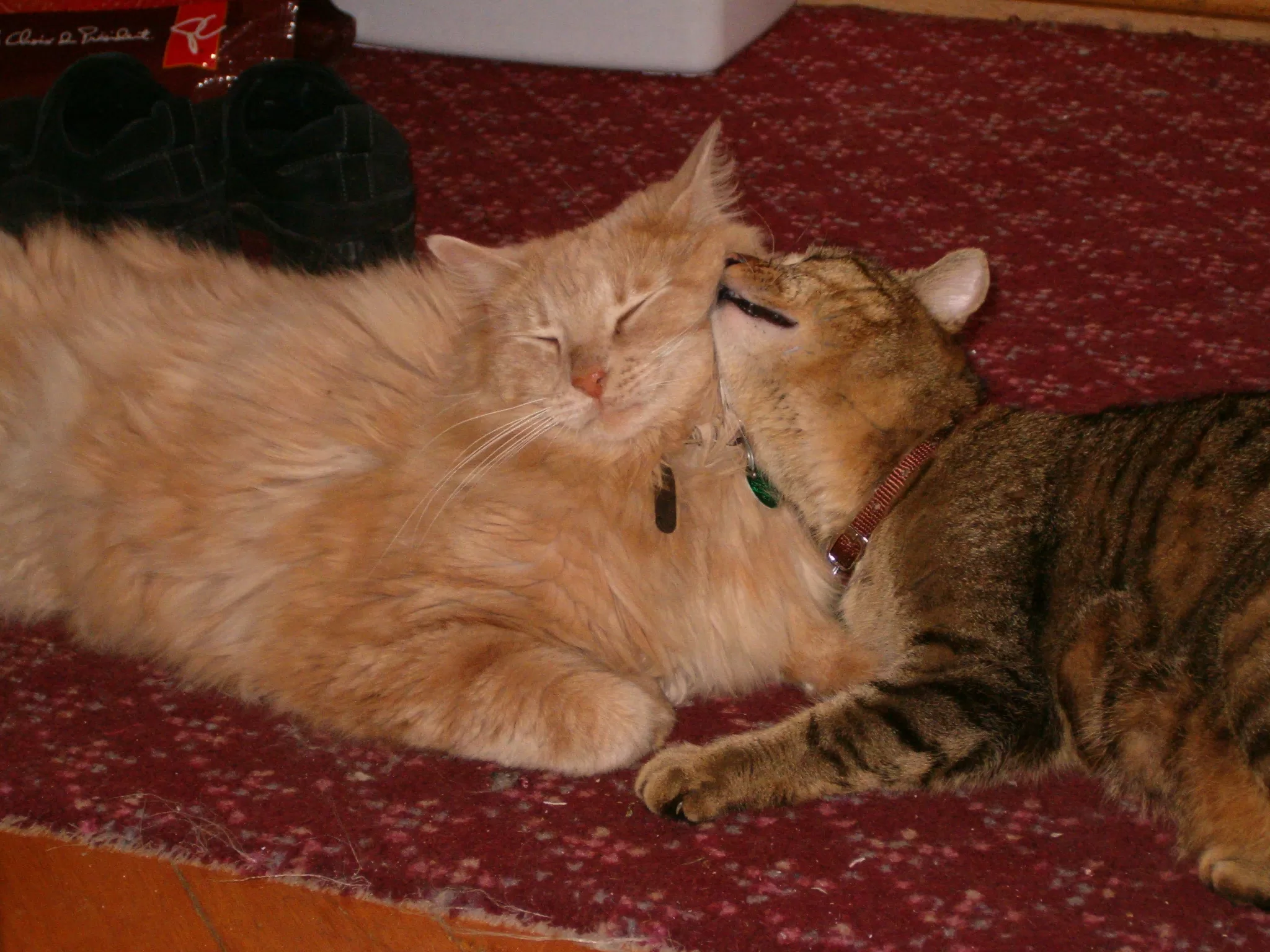 La première fois que j&rsquo;ai dit «Je t&rsquo;aime»