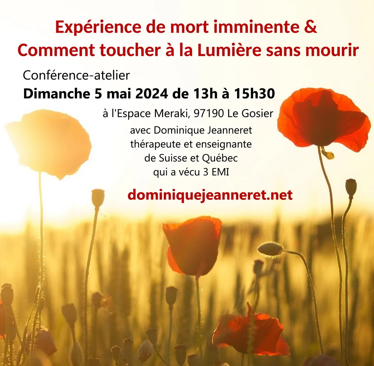 Dimanche 5 mai 2024 en Guadeloupe – Atelier : Expérience de mort imminente & Comment toucher à la Lumière sans mourir, avec Dominique Jeanneret du Québec